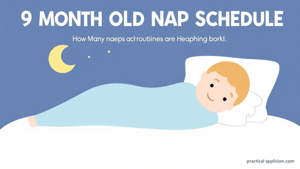 Visual guide for practical steps in 9 month old nap schedule: how many naps and how long